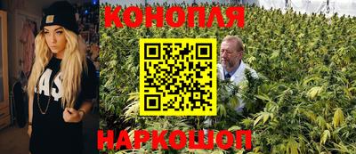 гашик Обнинск