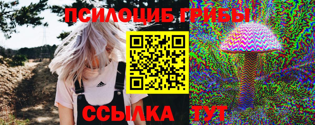 Псилоцибиновые грибы мухоморы  Псилоцибиновые грибы Cubensis  Вход с VPN  Серов 